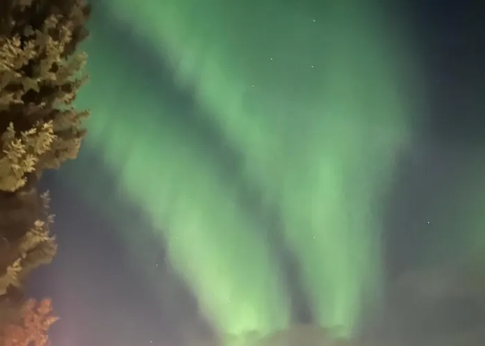 Lapland Aurora Apartment- With Freeparking Wifi Near Center *